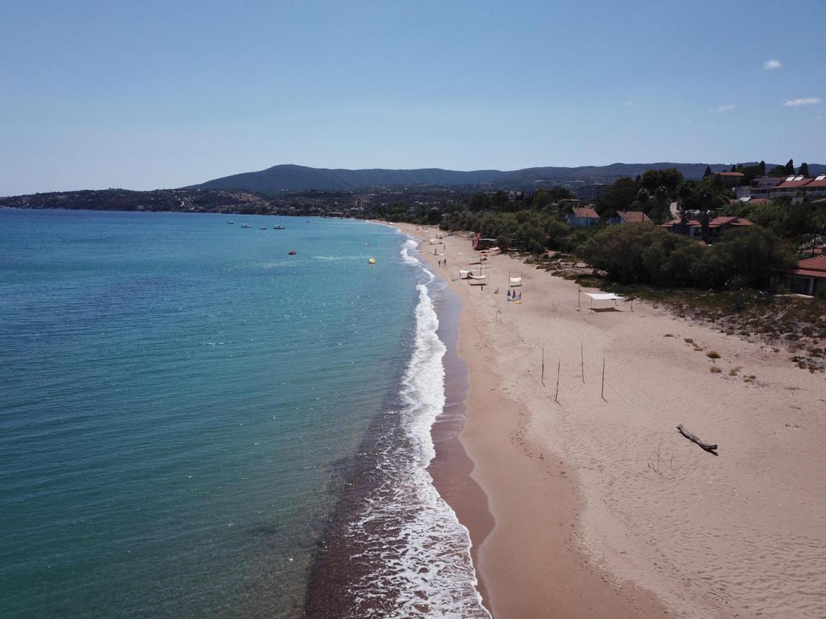 Takis Bizos House 1 Βίλα Koróni Εξωτερικό φωτογραφία