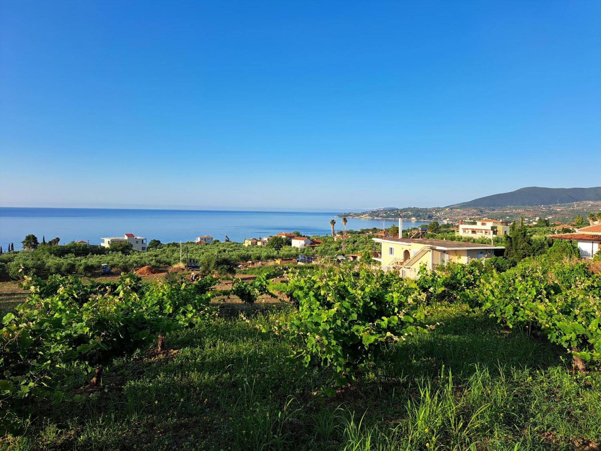 Takis Bizos House 1 Βίλα Koróni Εξωτερικό φωτογραφία